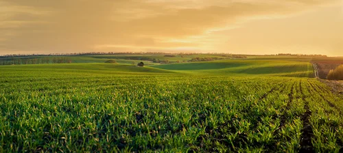 Farms and land for sale near Regina, Saskatchewan